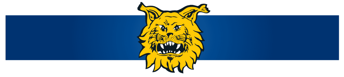 Tampereen Ilves