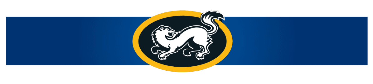 Oulun Kärpät