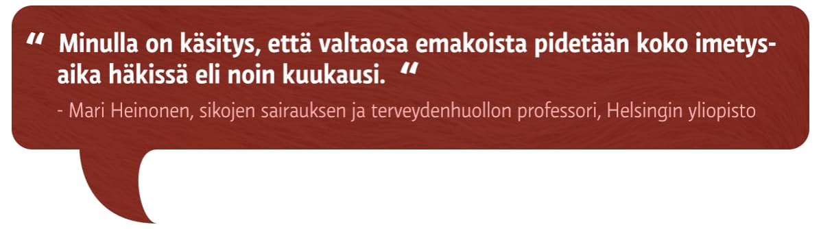 Lainausteksti