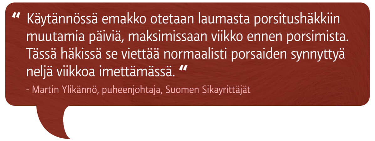 Lainausteksti
