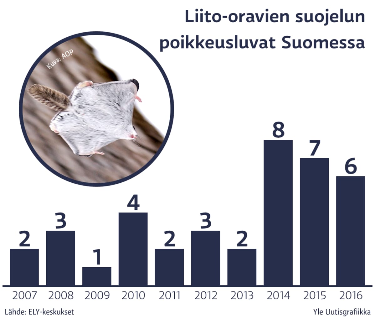 Grafiiikka