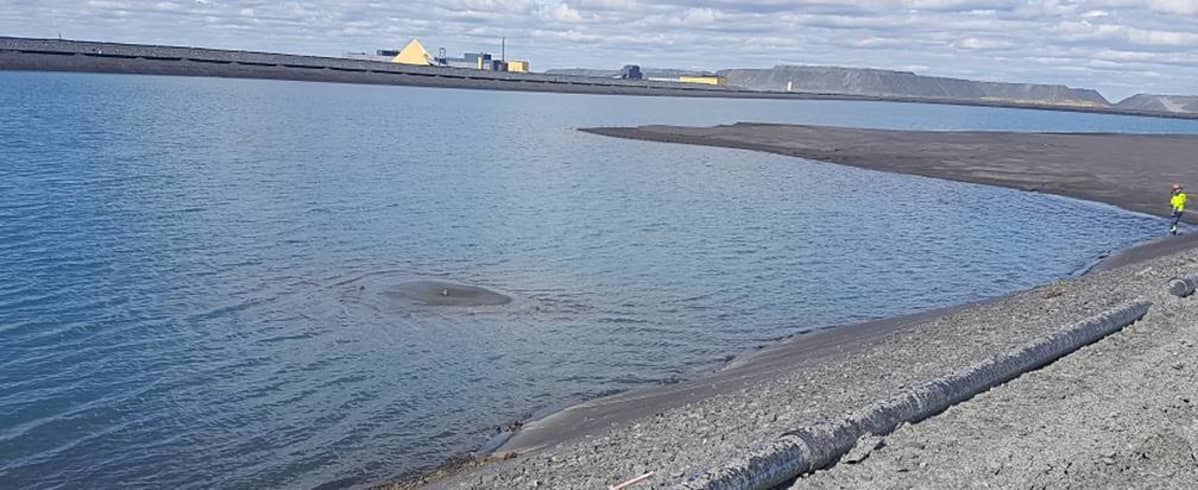 Kevitsan kaivoksen pienen jätealtaan pintaan ilmestyi "valas" kesällä 2018. Kyseessä on pohjaveden paineen aiheuttama kupla pohjasuojauksena olevassa bitumimatossa.