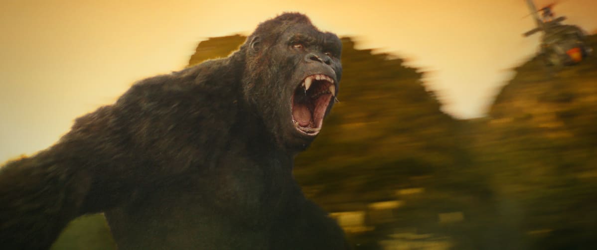 Kong:Pääkallosaari