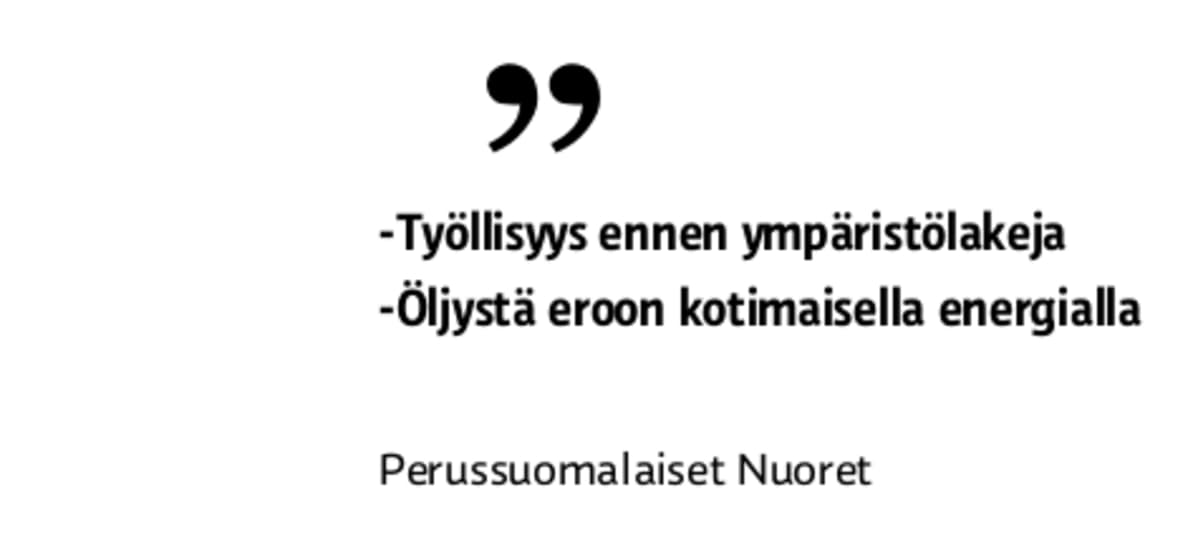 Perussuomalaiset Nuoret