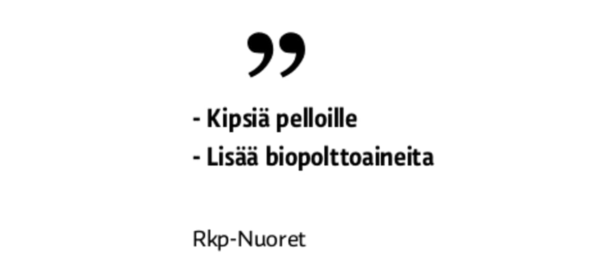 Rkp nuoret