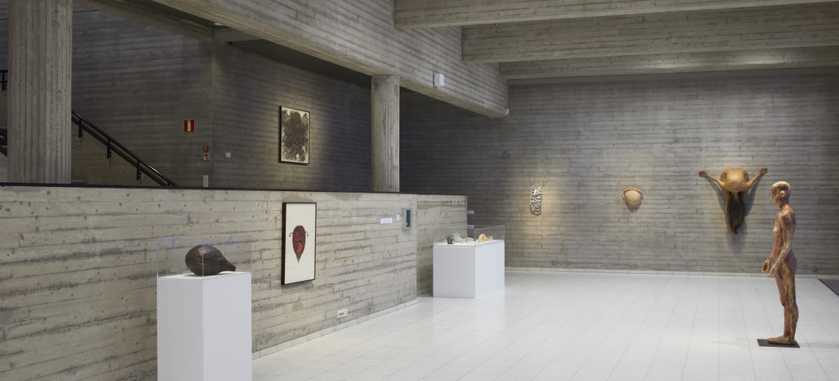 Kiki Smithin näyttely Sara Hildenin taidemuseossa