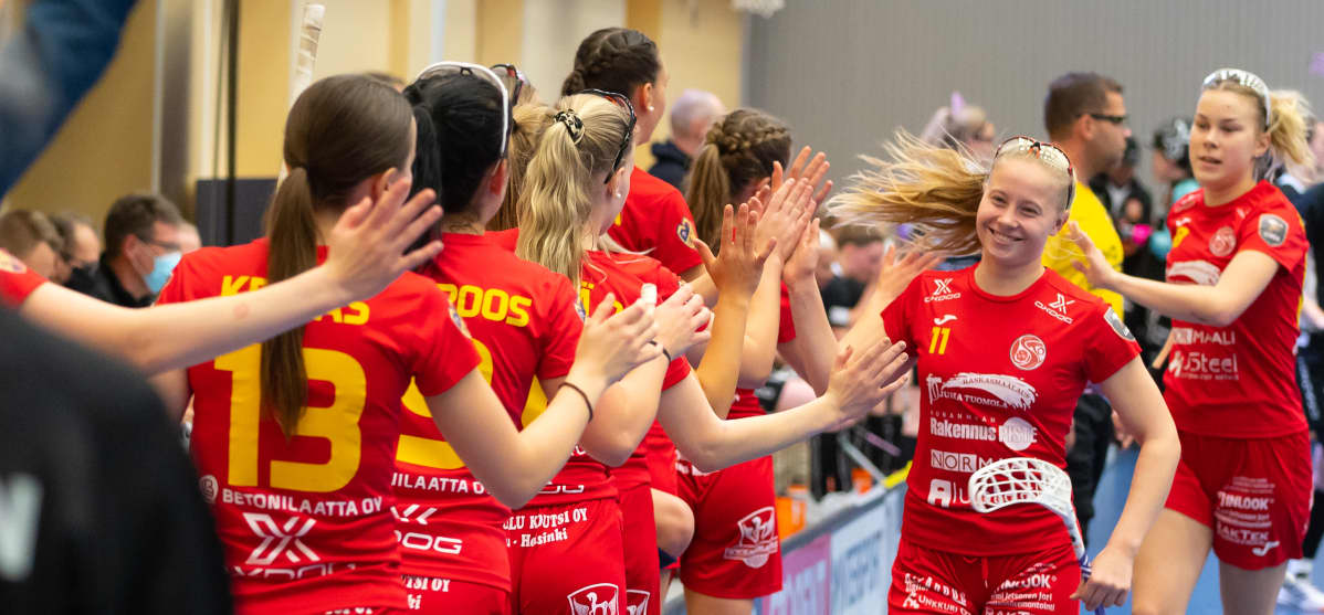 Tuulia lahti 11 Loisto maali