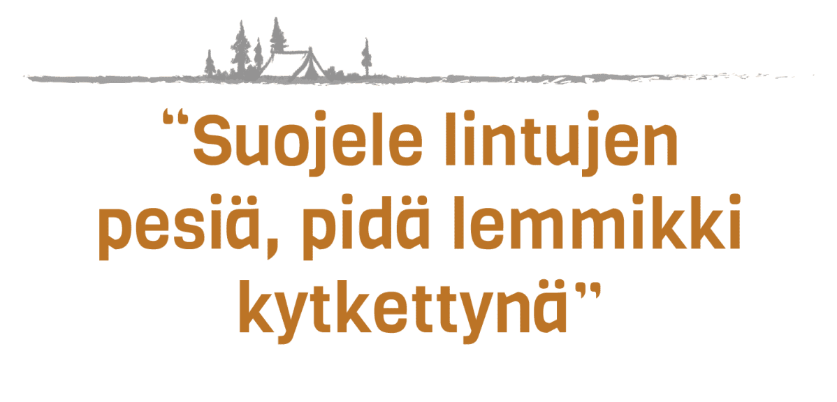 Nosto lemmikit retkietiketti