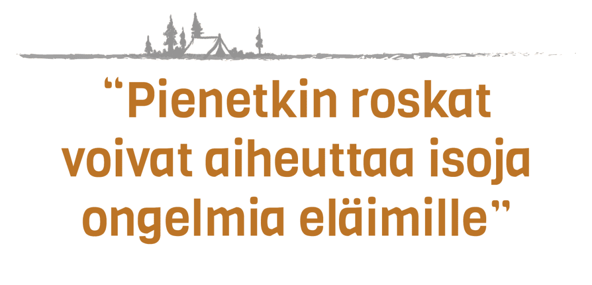 Nosto roskat