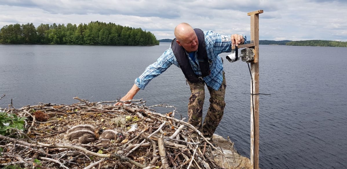Juha Taskinen on asentamassa Sääksikameraa.