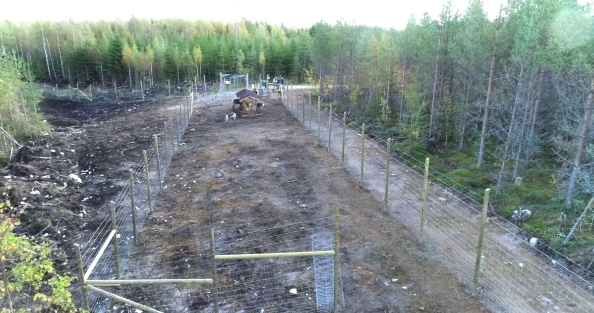 Metsäpeurojen sopeutustarha