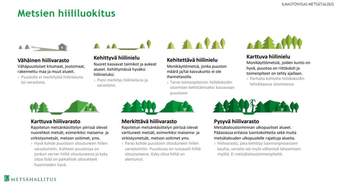 metsien hiilinielut