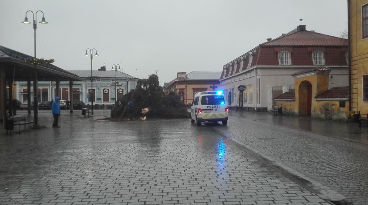 Kuusi kaatui Raumalla.
