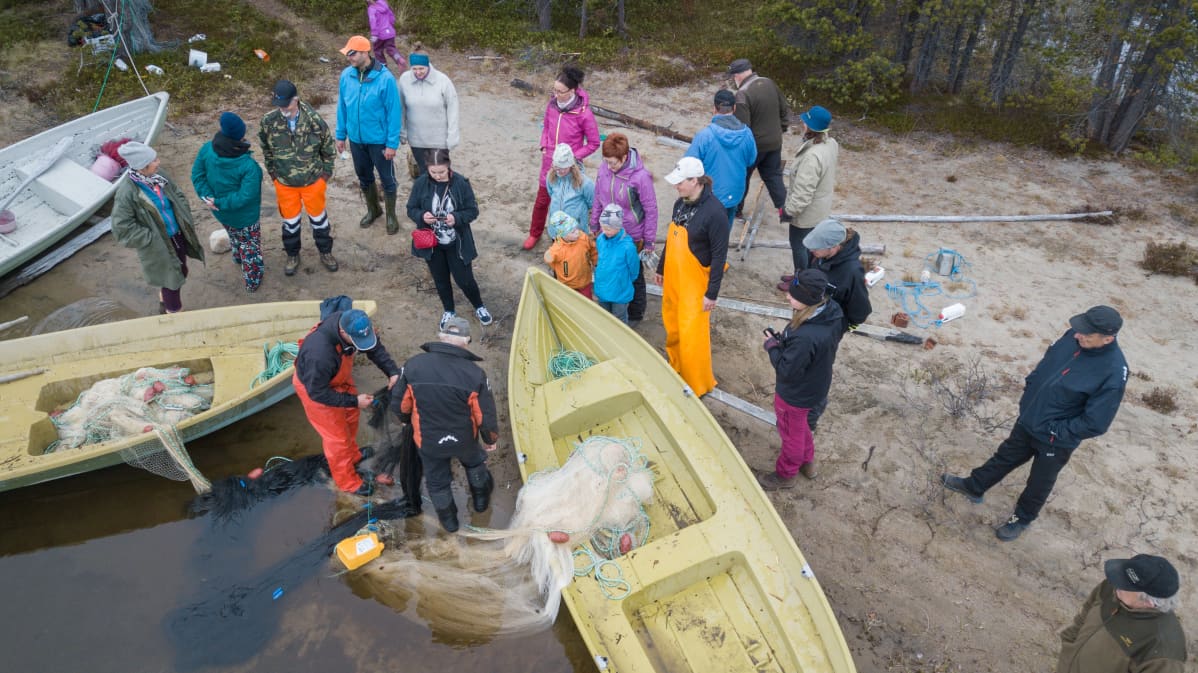 Nuottaverkon veto Sevettijärvellä kesäkuussa 2018