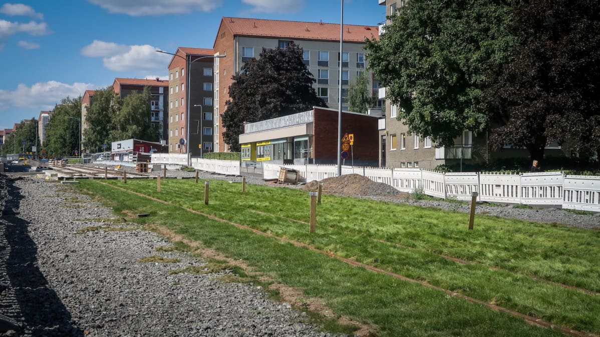 Nurmikkoa kokeillaan Sammonkadulla Tampereella.
