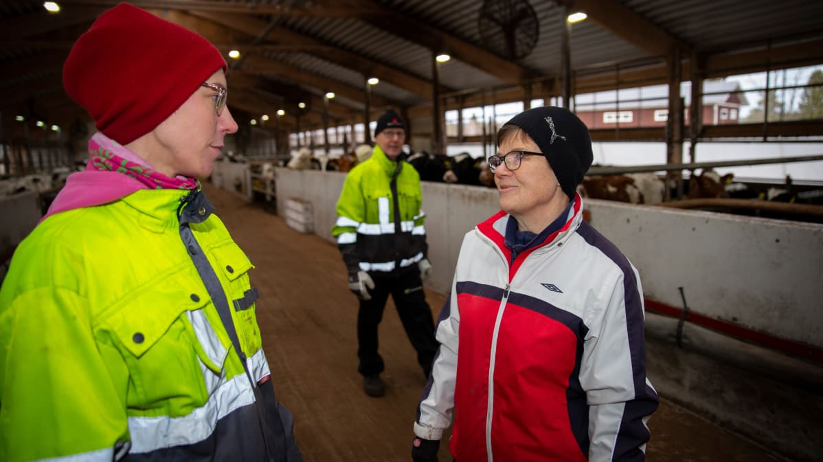 Päivi Anttila juttelee anoppinsa Marja Anttilan kanssa.