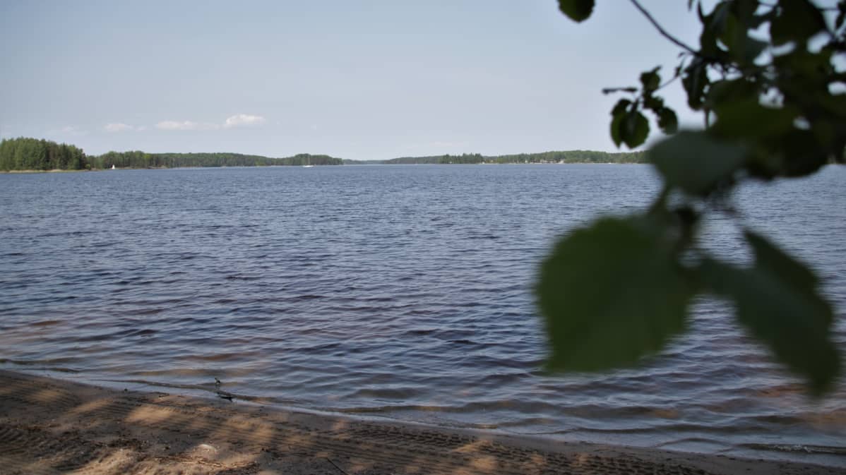 Kesäinen uimaranta.