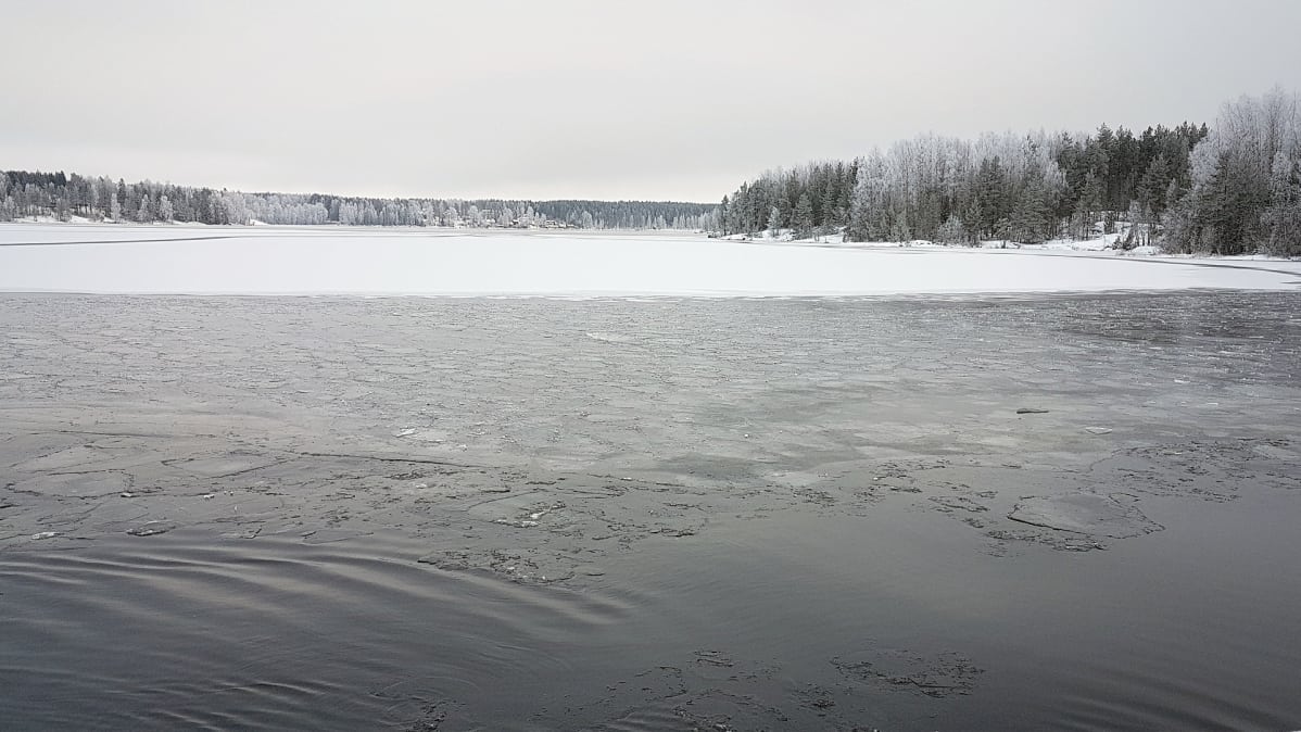 Saimaa Lamposaaren lossin kyydistä.