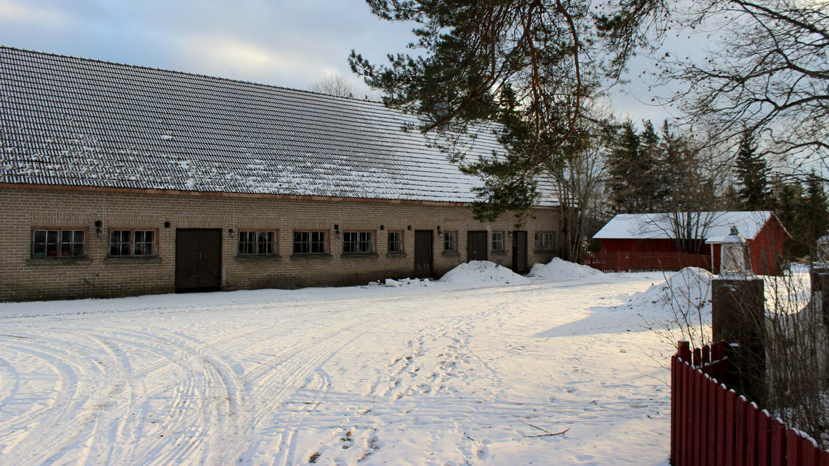 Vanha kivinen sikala
