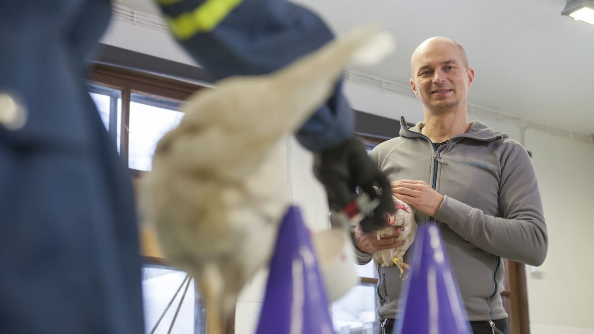 Eläintenkouluttaja, opettaja Harri Katainen
