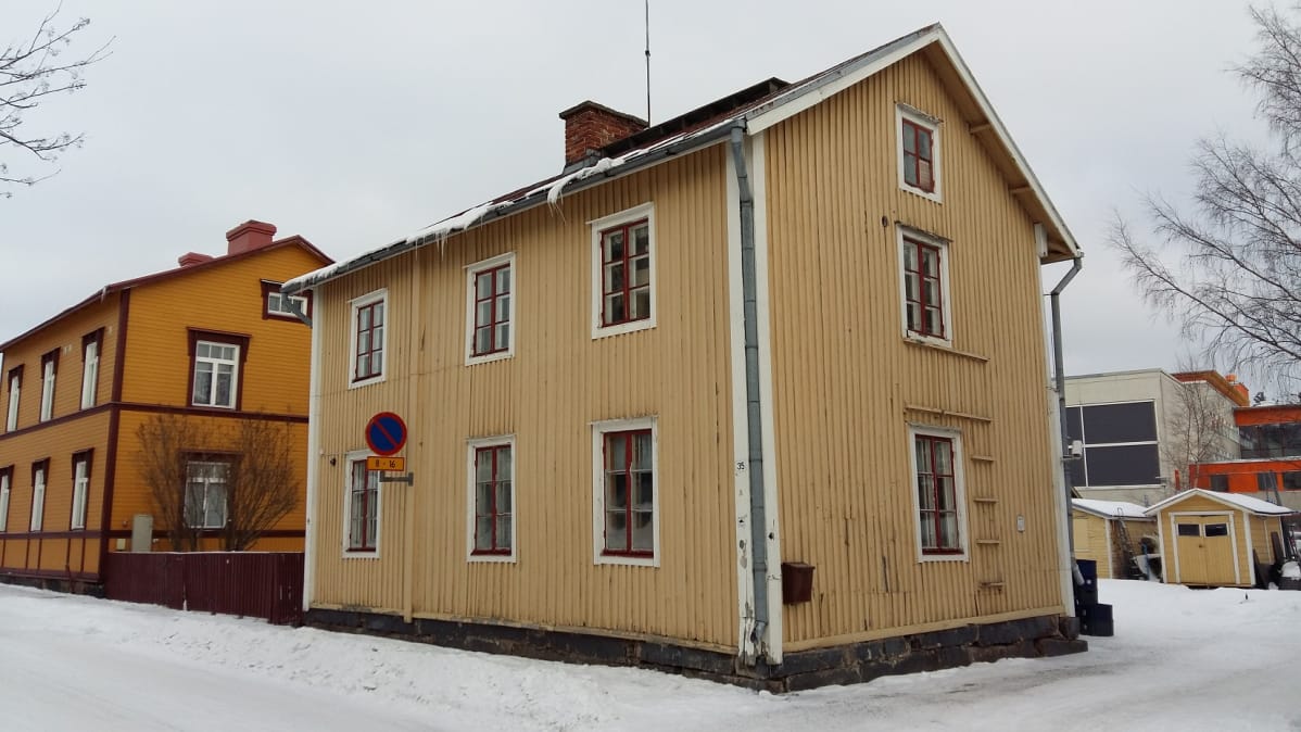 Vaasan kissatalo