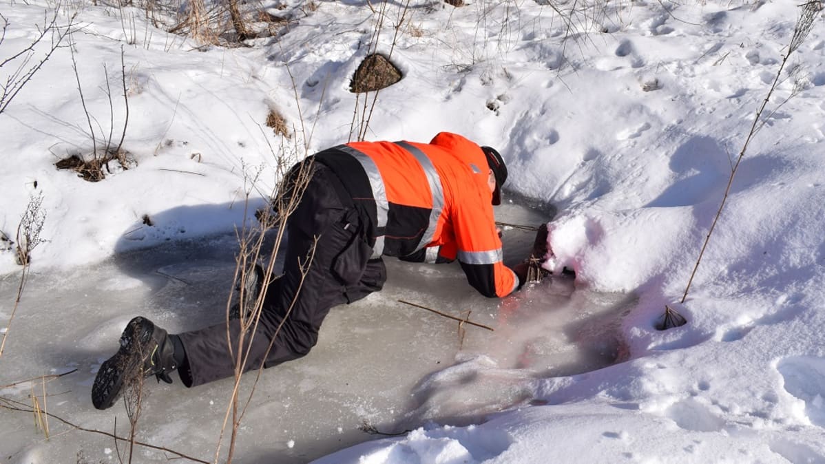 Työpäällikkö Seppo Karjalainen etsi ojasta merkkejä klooratusta vedestä, mutta putkivuotoa ei löytynyt Nousiaisten Miekkavuorentiellä.