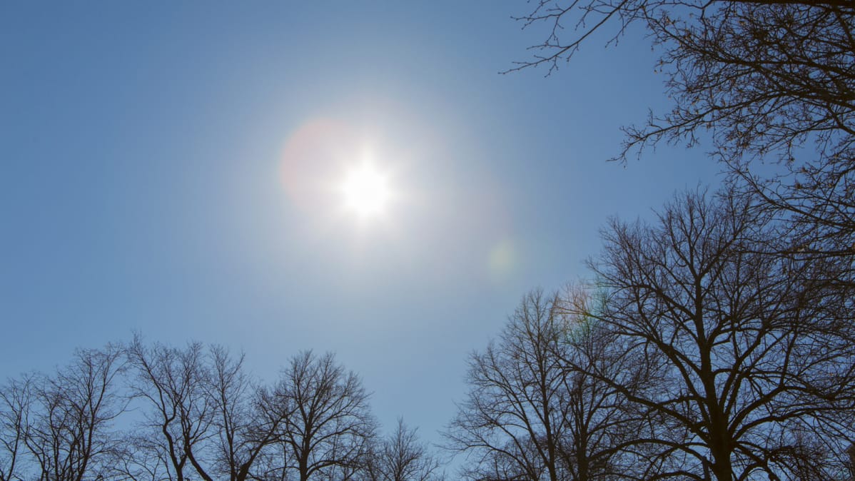 kevätaurinko paistaa