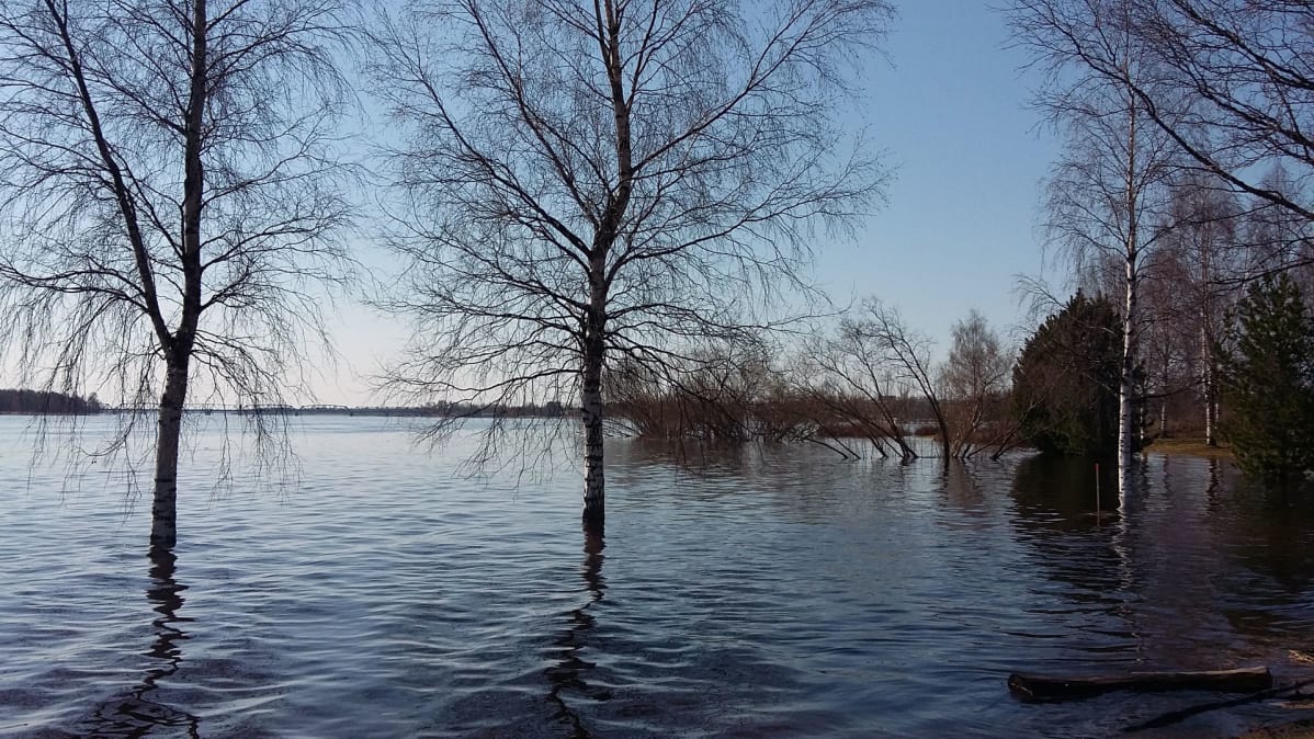 Tornionjoen tulva Torniossa