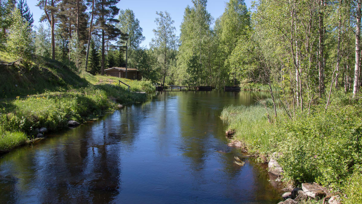 Virmutjoki