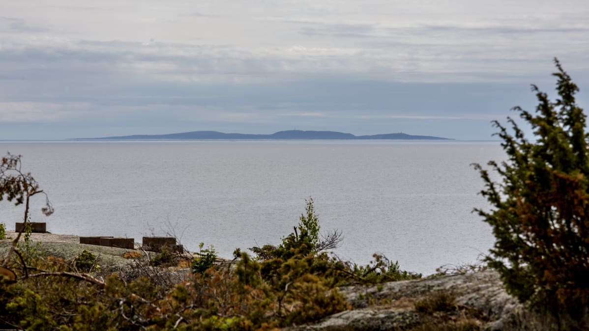 Suursaari