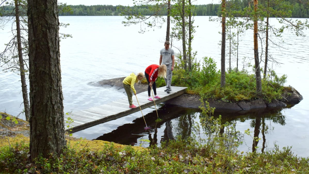 Natusen perheen lapset etsivät rannasta pikkukaloja.