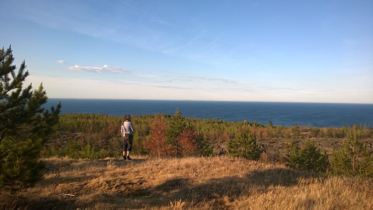 Suursaaren luontoa ja merta