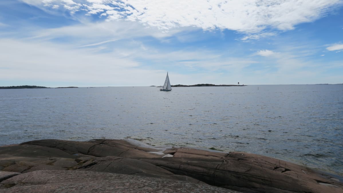 Merimaisema ja purjevene Tulliniemen luontopolun varrella Hangossa.