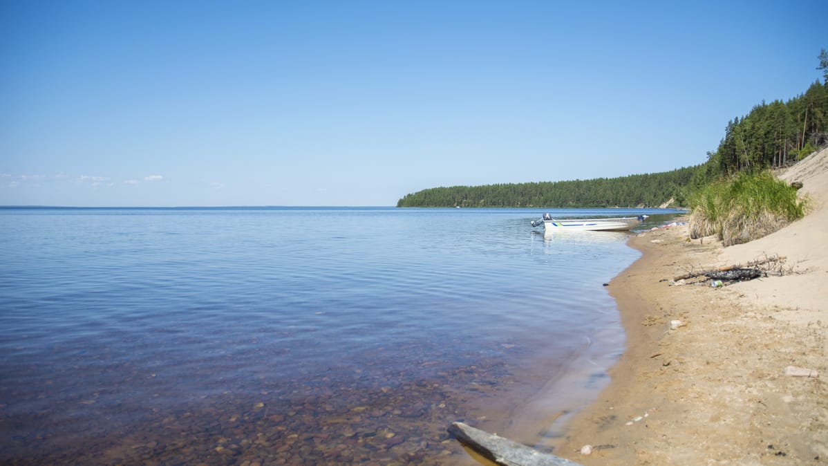 Ärjänsaaren juoksuhiekkaa