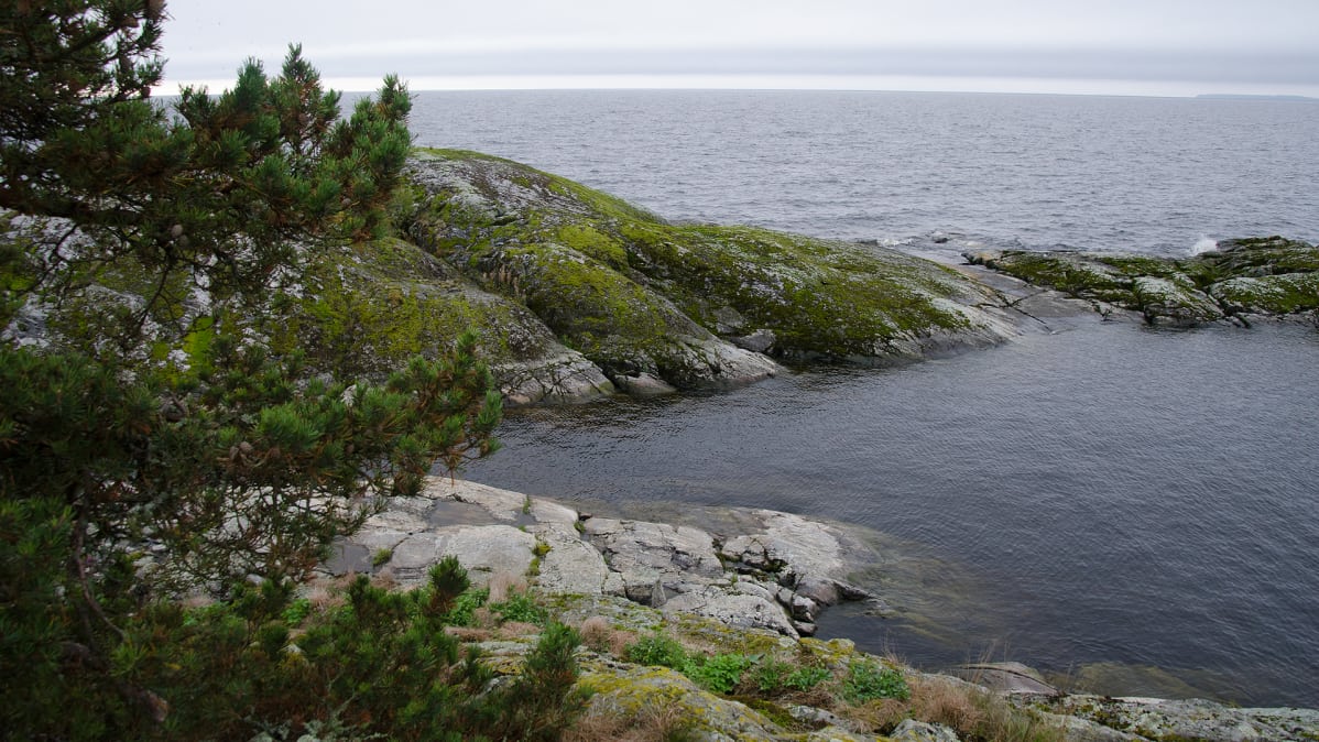 Maisema Laatokalta.