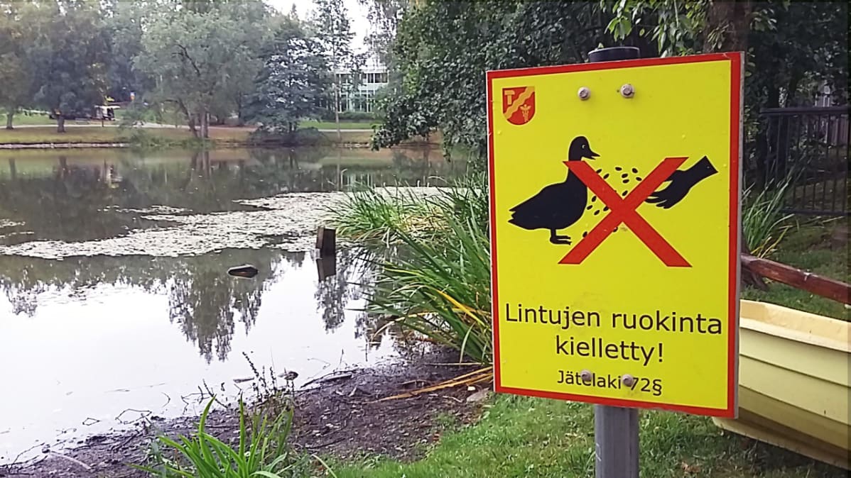 Lintujen ruokinnan kieltävä kyltti Tampereen Sorsapuistossa