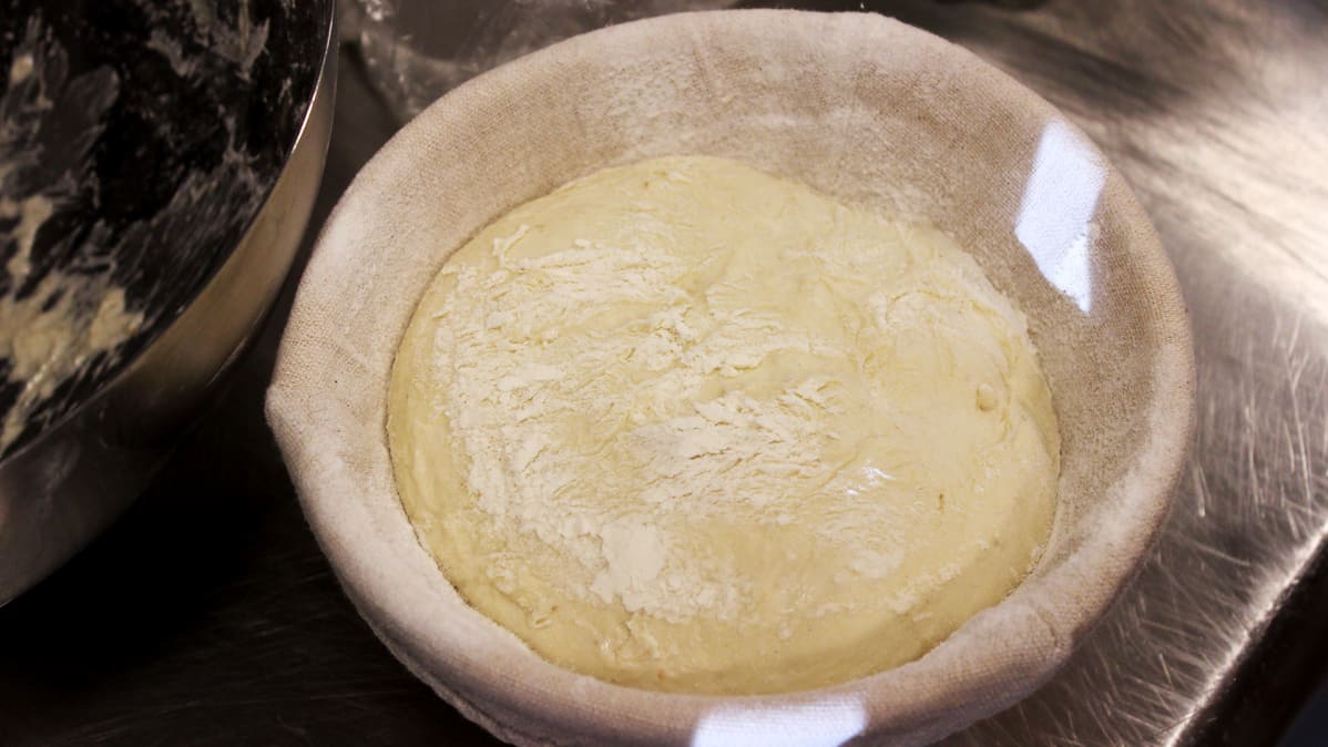 leipäjuuri