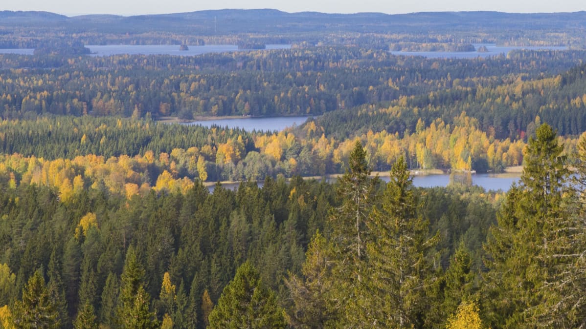 Syksyinen maisema Puijolta.