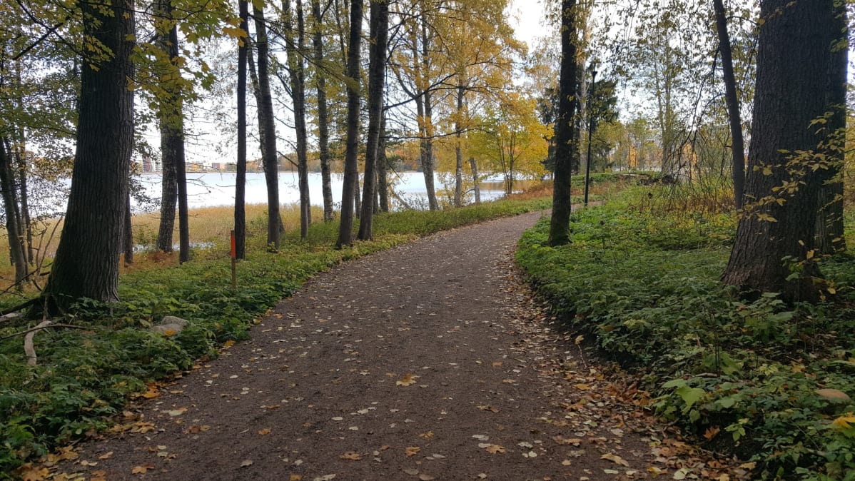 Rantaraitti Lappeenrannassa Saimaan rannalla