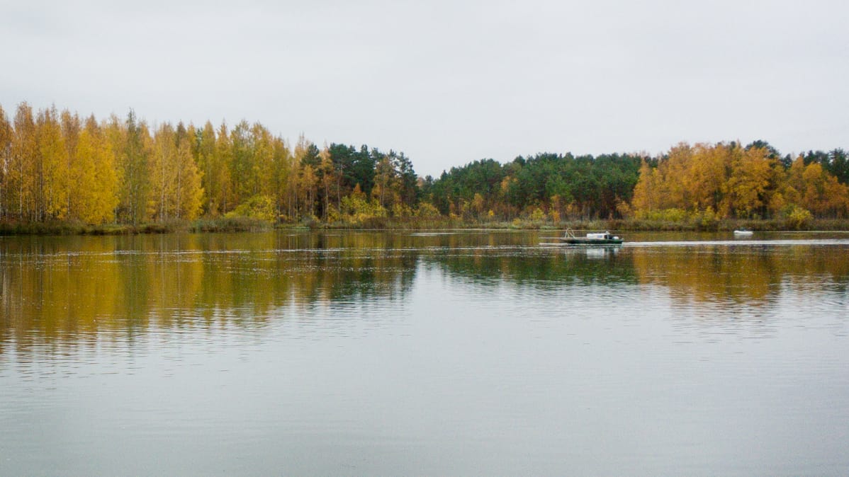 Mikkolanlammi