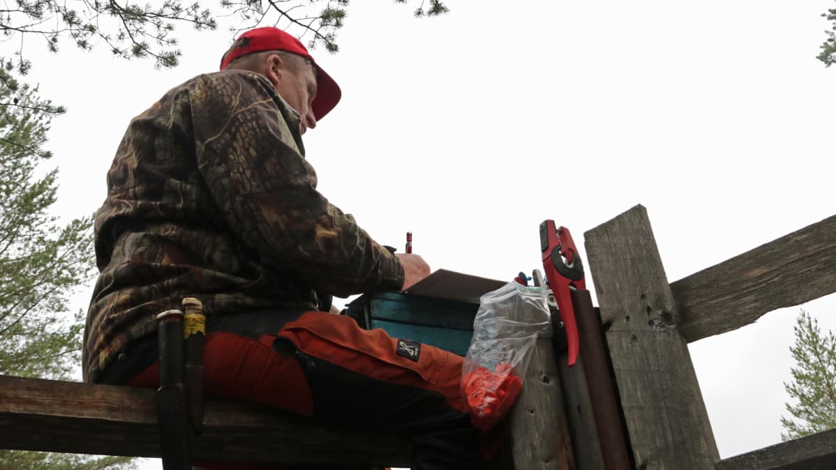 Jarmo Kynkäänniemi kirjaa poroerotusta Huiskan aidalla Pudasjärvellä 2018.