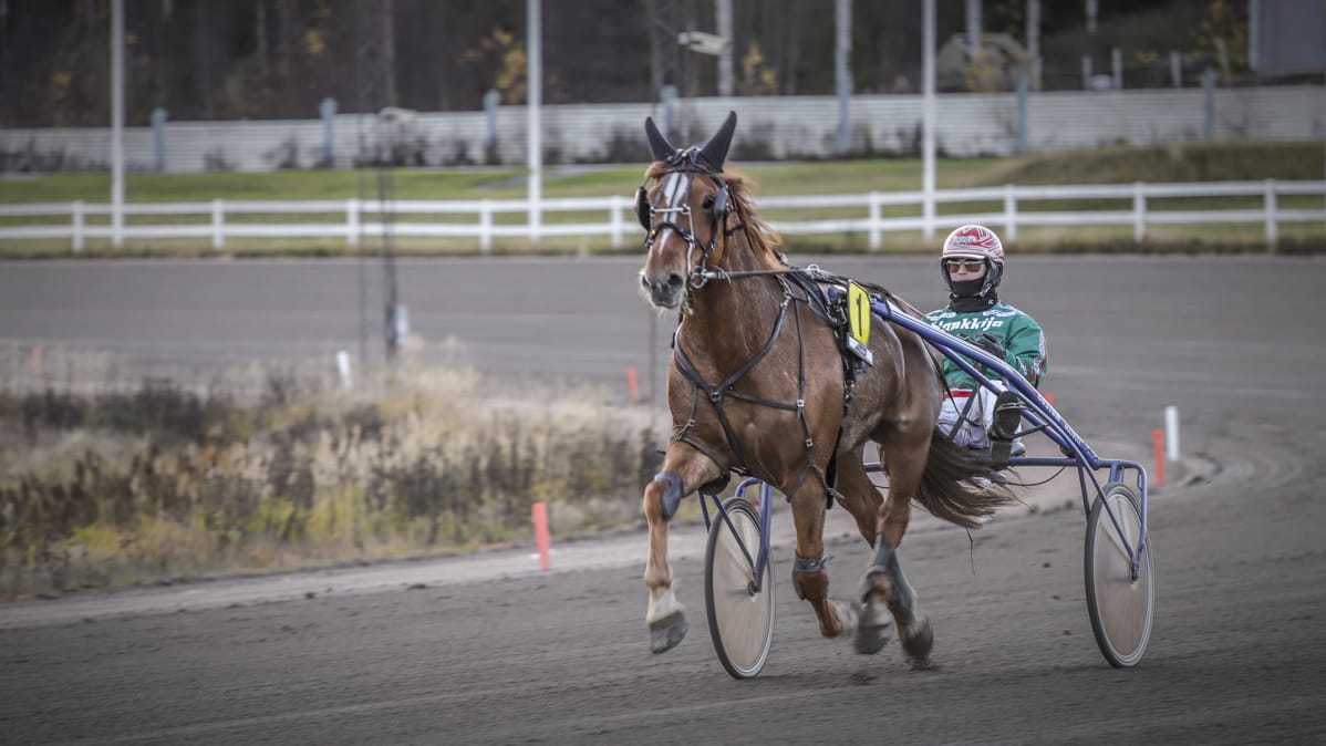 hannu torvinen raveissa