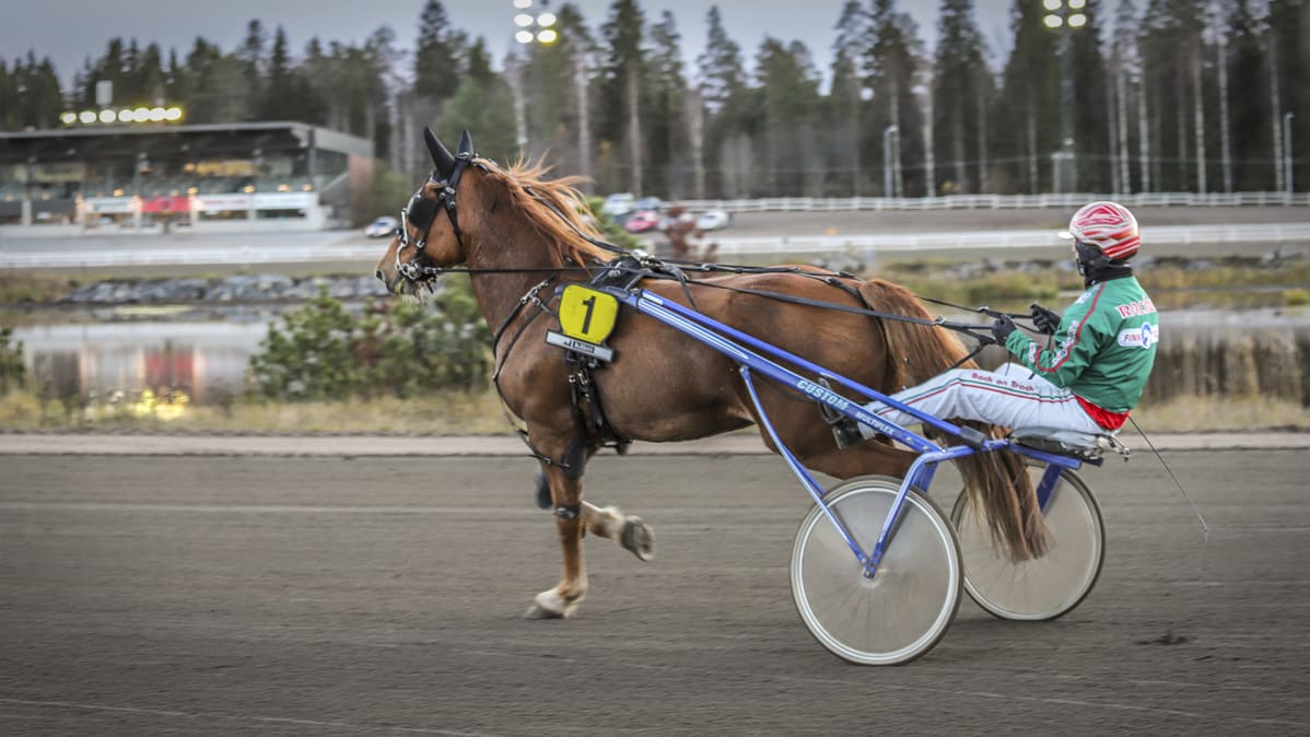 Ravit