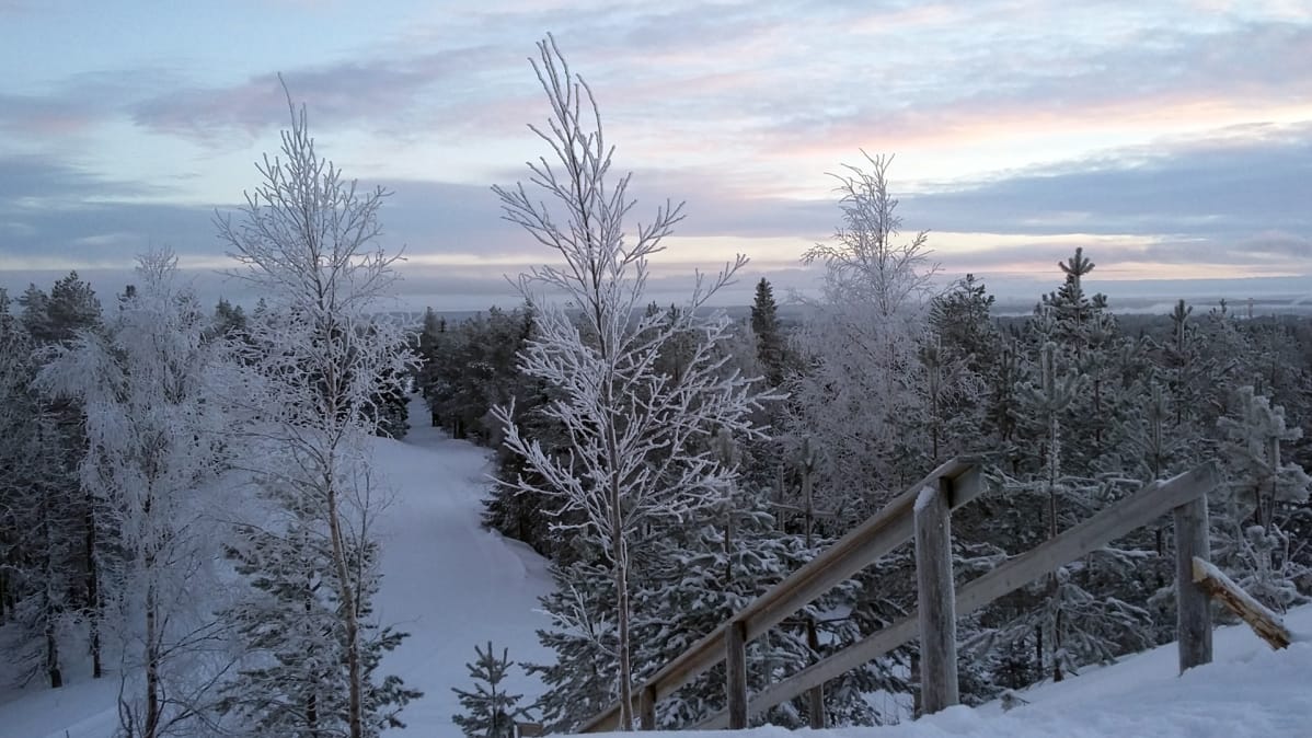 Talvimaisemaa