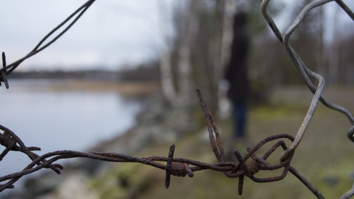 Piikkilanka.