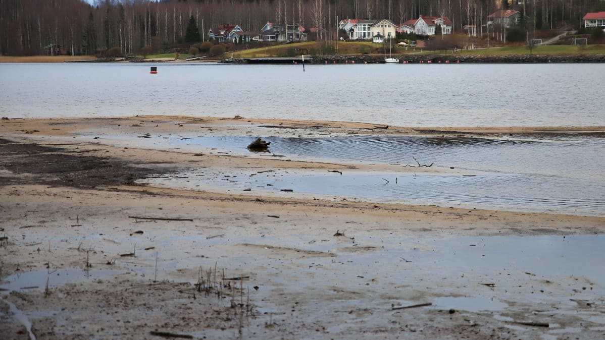 Päijänteen rantaa ja omakotitaloja.