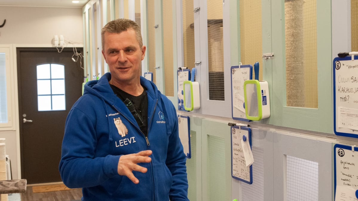 Kempeleen lemmikkihoitola Vierashuoneen tiloissa on noin 30 löytökissaa.