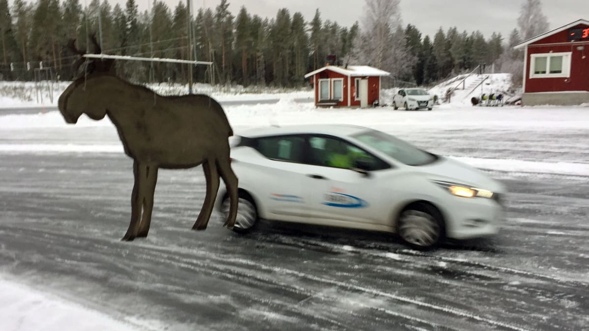 Hirven muotoinen este yllättää Jäälin ajoharjoitteluradalla.