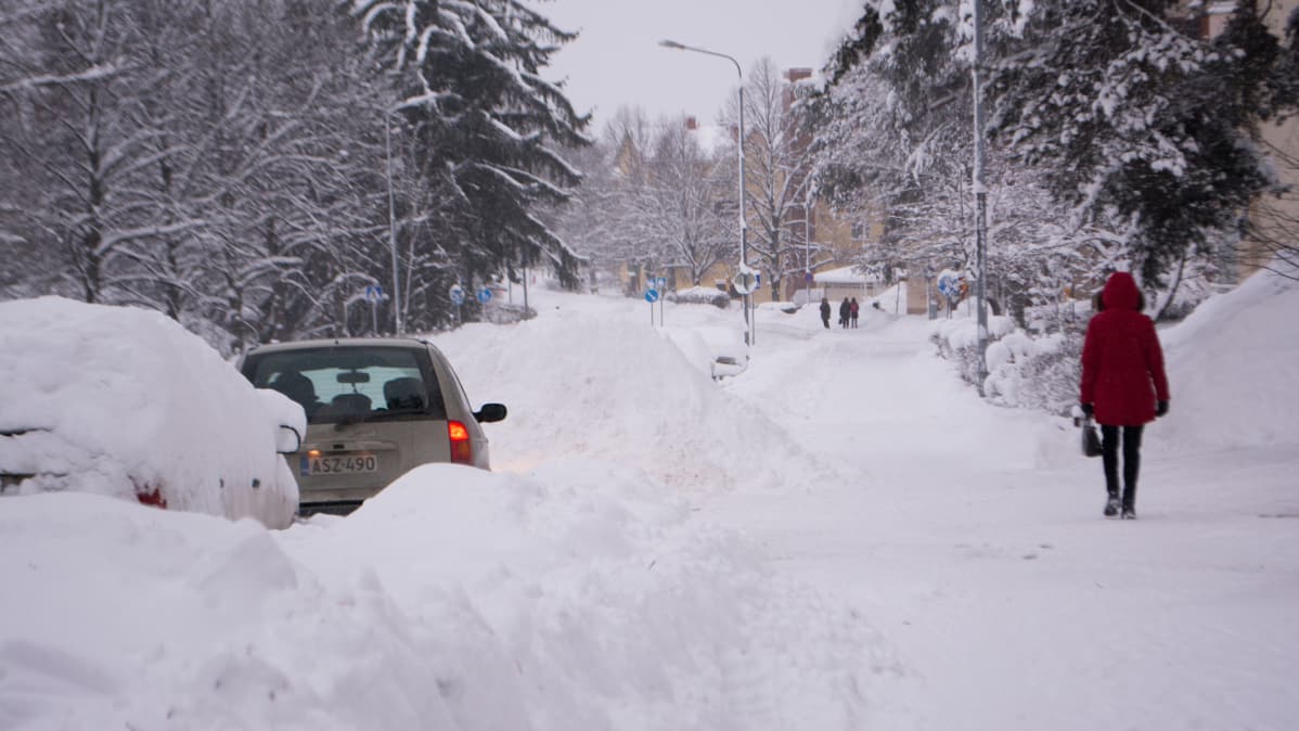 Luminen Pohjolankatu Kuopion Männistössä.