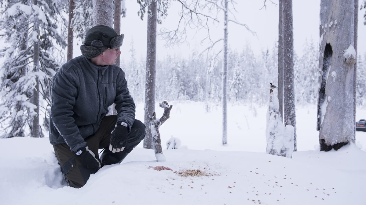Mies on ruokkimassa lintuja lumisessa metsässä.